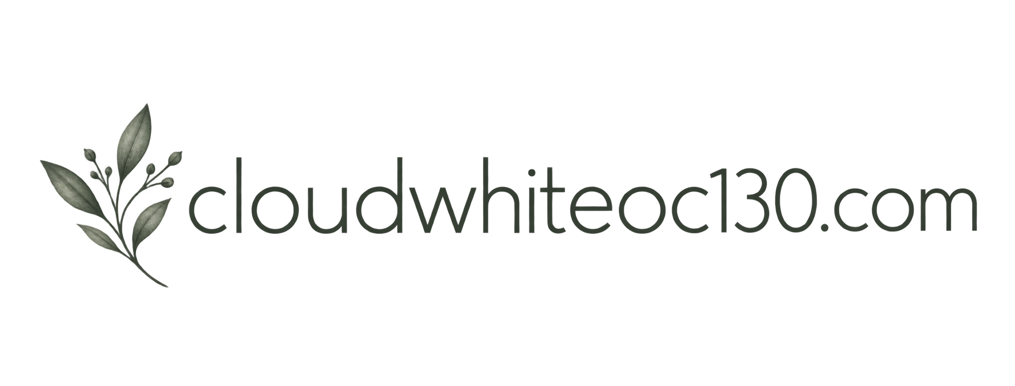 cloudwhiteoc130.com